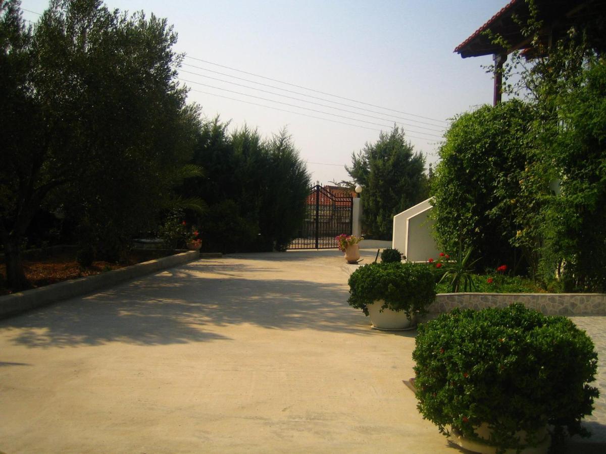 Country House In Olive Grove - Gerakini Guest House Exterior foto